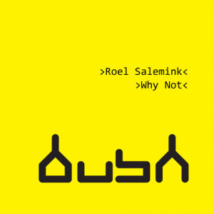 ดาวน์โหลดและฟังเพลง Why Not (Original Mix) พร้อมเนื้อเพลงจาก Roel Salemink