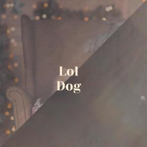 Various的专辑Lol Dog