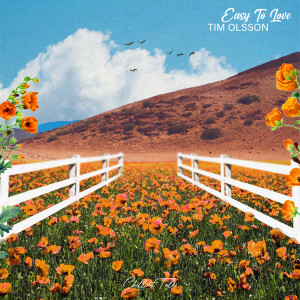 Listen to Easy To Love (Edit) song with lyrics from Tim Olsson