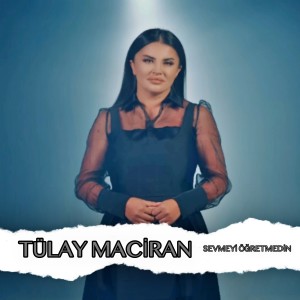 Album Sevmeyi Öğretmedin from Tülay Maciran