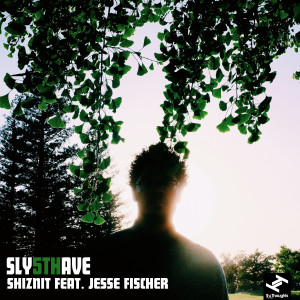 Album Shiznit oleh Jesse Fischer
