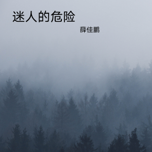 Listen to 口是心非 (DJ版) song with lyrics from 薛佳鹏