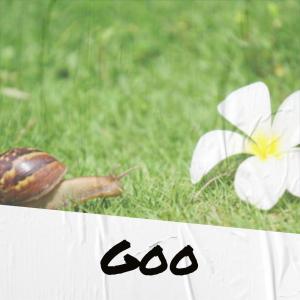 收听Geda Ston的Jose歌词歌曲