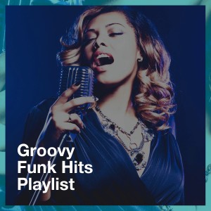 Album Groovy Funk Hits Playlist oleh Funk Band Inc.