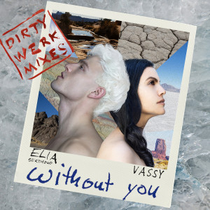 Album Without You (Dirty Werk Mixes) oleh Vassy