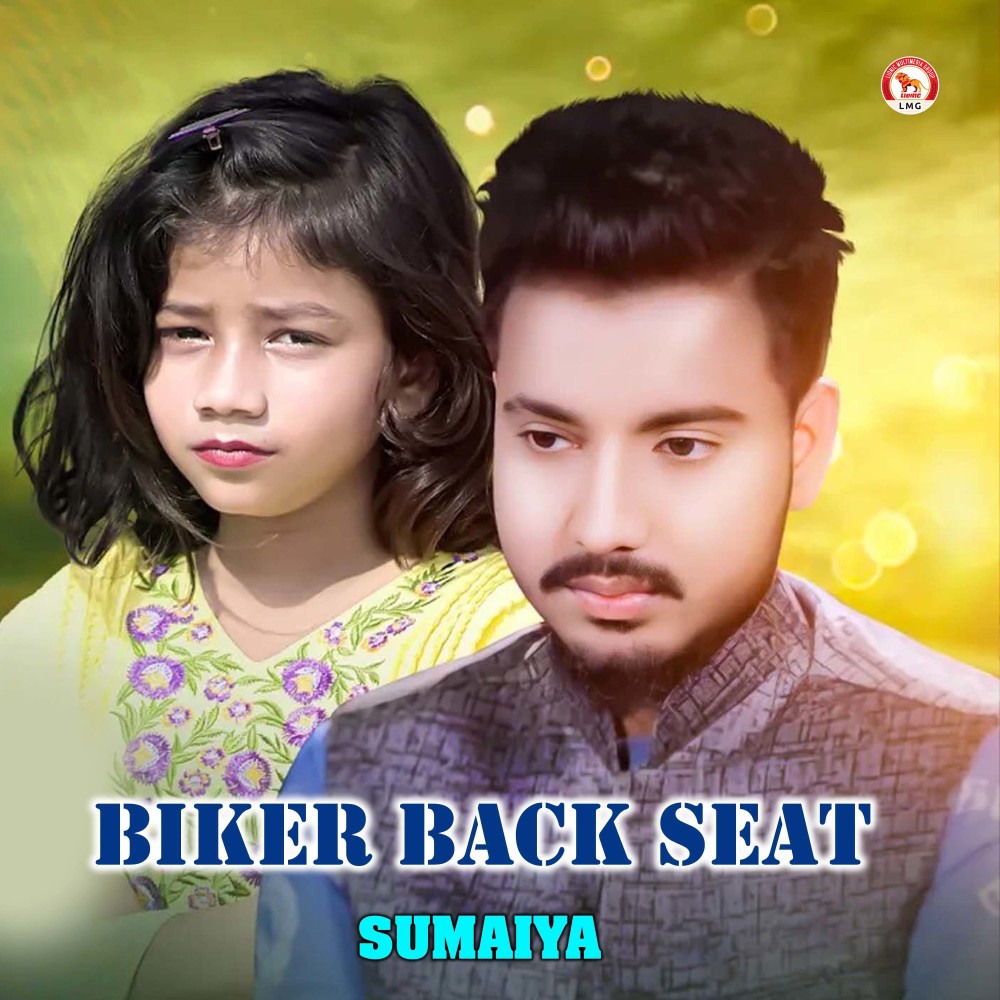 Biker Back Seat