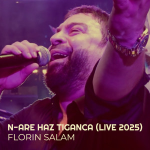 Listen to N-Are Haz Tiganca (Live 2025) song with lyrics from Florin Salam
