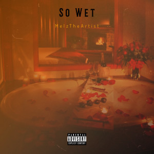 Listen to So Wet (Explicit) song with lyrics from MelzTheArtist
