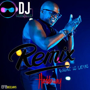 Album What Is Love from Dj Mega Mix