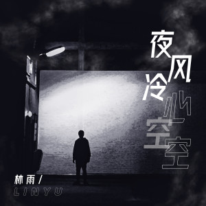 Listen to 夜风冷心空空 (伴奏) song with lyrics from 林雨