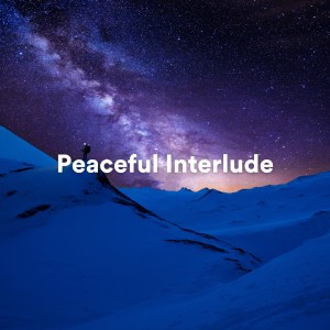 Album Peaceful Interlude oleh Relaxing Music for Bath Time