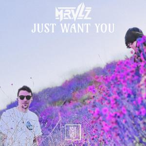 Mrvlz的專輯Just Want You