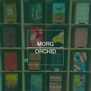 Listen to Orchid song with lyrics from Morg