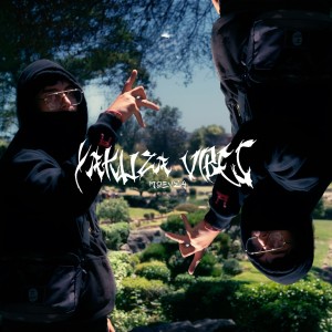 ดาวน์โหลดและฟังเพลง Yakuza Vibes (Explicit) พร้อมเนื้อเพลงจาก Moeazyofficial