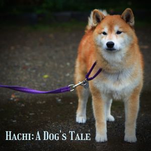 Hachi: A Dog's Tale dari The Pink Rabbit