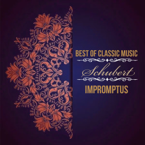 อัลบัม Best of Classic Music, Schubert - Impromptus ศิลปิน Silvia Capova