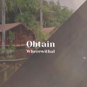 อัลบัม Obtain Wherewithal ศิลปิน Various Artists