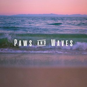 Album Paws & Waves: Relaxing Binaural Ocean Music for Pets from floof