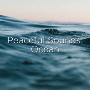 收聽Ocean Sounds的Waves To Fall Asleep To歌詞歌曲