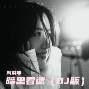 阿梨粤的专辑暗里着迷（DJ版）