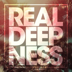 Various Artists的專輯Real Deepness #17
