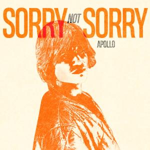 SORRY NOT SORRY (Explicit)