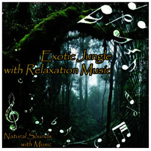 ดาวน์โหลดและฟังเพลง Exotic Jungle with Relaxation Music พร้อมเนื้อเพลงจาก Natural Sounds with Music