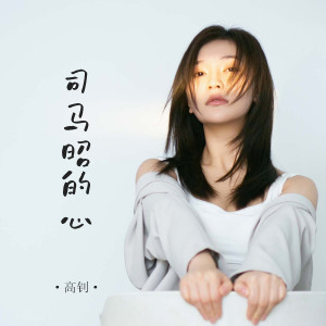 高钊的专辑司马昭的心