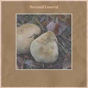 Album Second Lowest from Various