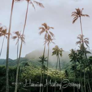 อัลบัม Best of Hawaiian Healing Journey Vol.2 (Remastered 2021) ศิลปิน Bryan Kessler