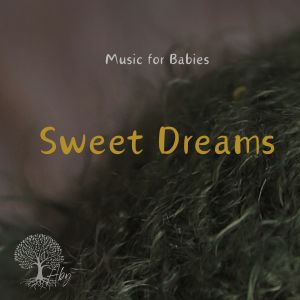Album Sweet Dreams oleh Aby