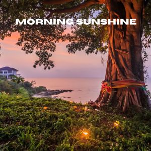 อัลบัม Morning Sunshine ศิลปิน The White Noise Zen & Meditation Sound Lab