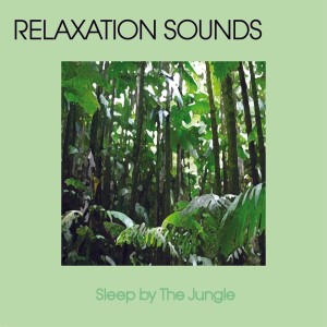 Relaxation Music的專輯Sleep By The Jungle