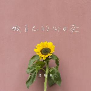Album 做自己的向日葵 from 段晓晓