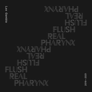 อัลบัม Flush Real Pharynx 2019-2021 ศิลปิน Lee Gamble