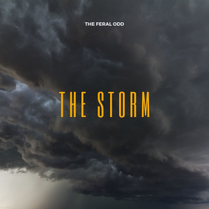 Listen to The Storm song with lyrics from The Feral Odd