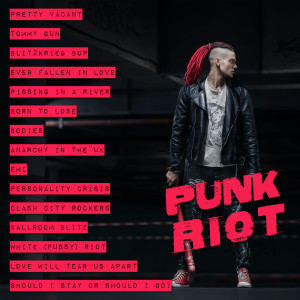 Various Artists的專輯Punk Riot