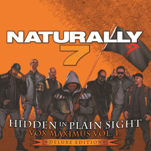 Hidden in Plain Sight (Deluxe)