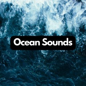 Abyssal Melodies: Tranquil Ocean Ambience dari Ocean Waves Radiance