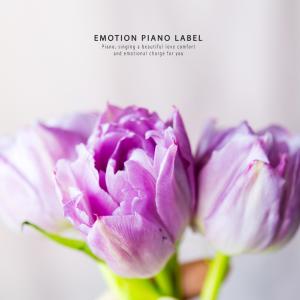 Listen to To complete me song with lyrics from Paper Ton