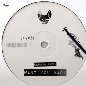 Album Want You Back from Seumas Norv