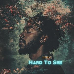 Listen to Hard To See (Instrumental Mix) song with lyrics from Stimulate