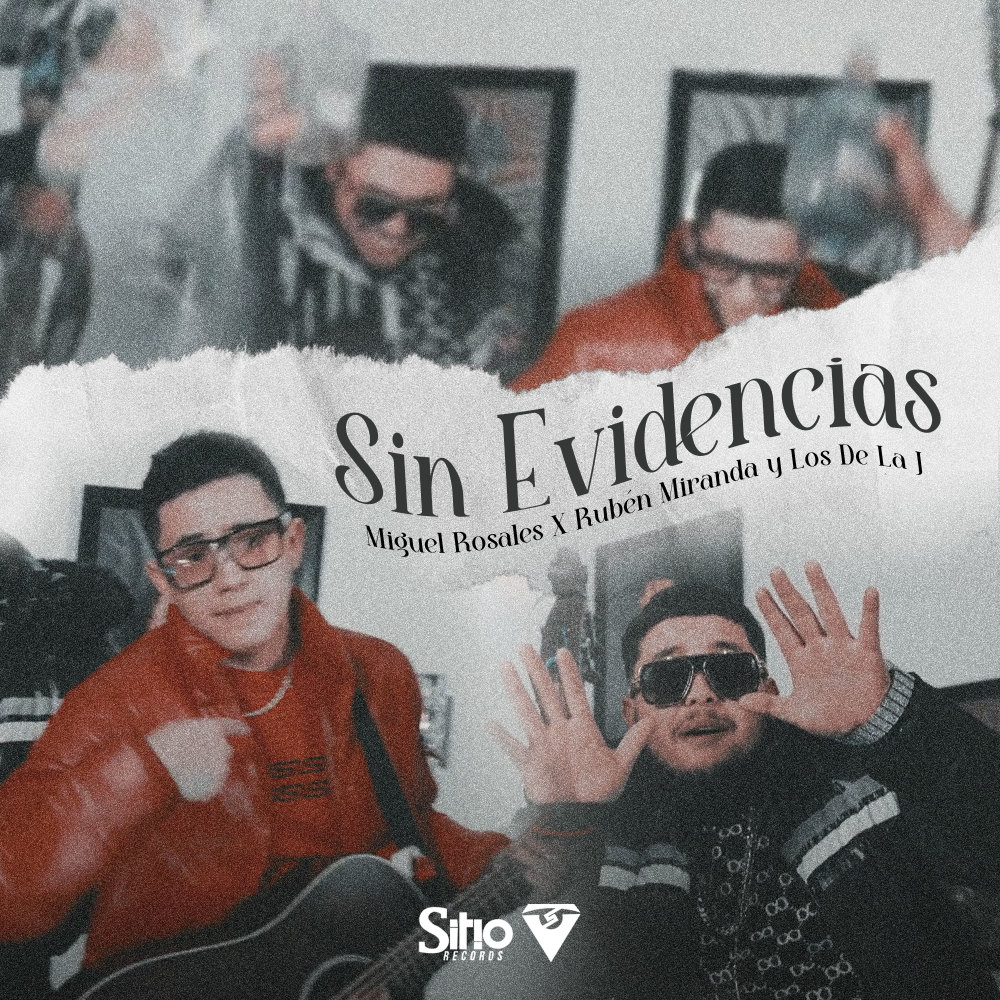 Sin Evidencias