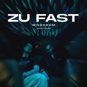 whosdom的專輯Zu fast (Explicit)