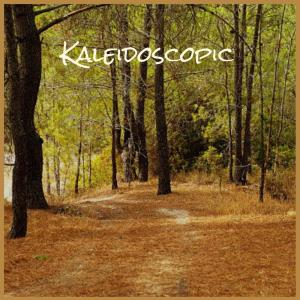 Listen to Kaleidoscopic song with lyrics from Miet Polz