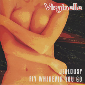 ดาวน์โหลดและฟังเพลง FLY WHEREVER YOU GO (Extended Mix) พร้อมเนื้อเพลงจาก Virginelle