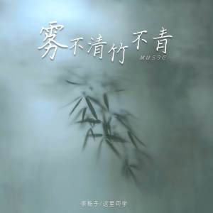Listen to 雾不清 竹不青 (伴奏) song with lyrics from 这里同学