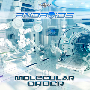 Album Molecular Order oleh Androids