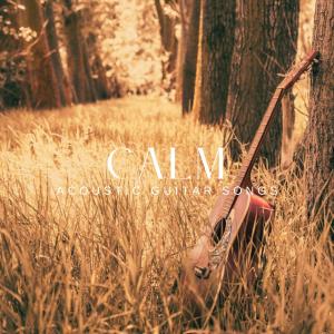Dengarkan lagu Ain’t No Sunshine (Arr. for Guitar) nyanyian Thomas Tiersen dengan lirik