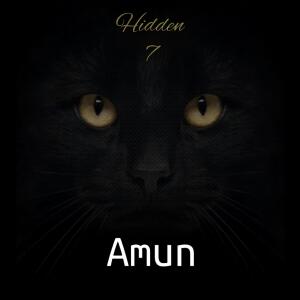的專輯Hidden 7